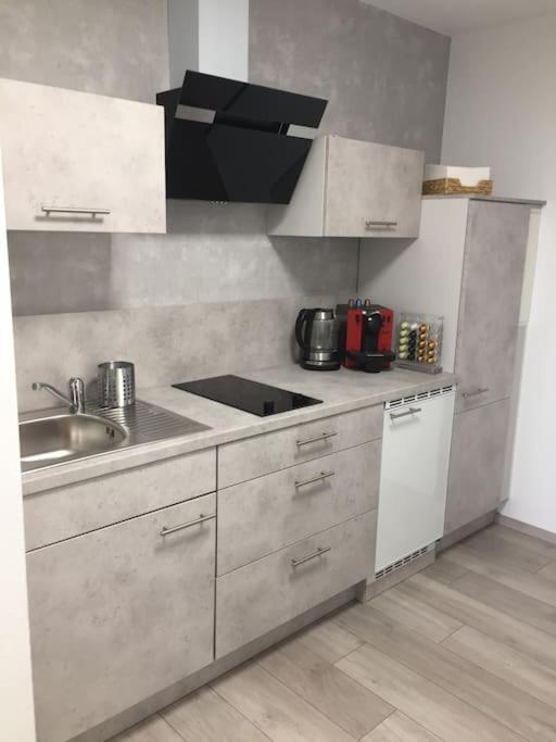 Modern Eingerichtetes Apartment Naehe Hauptbahnhof ブラウンシュバイク エクステリア 写真