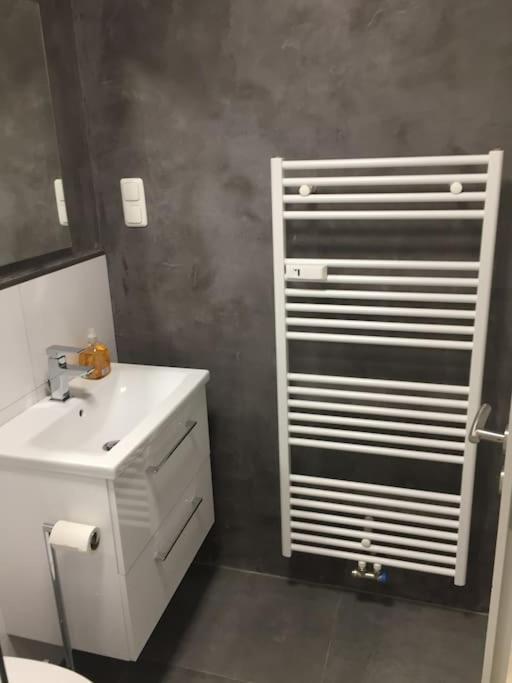 Modern Eingerichtetes Apartment Naehe Hauptbahnhof ブラウンシュバイク エクステリア 写真